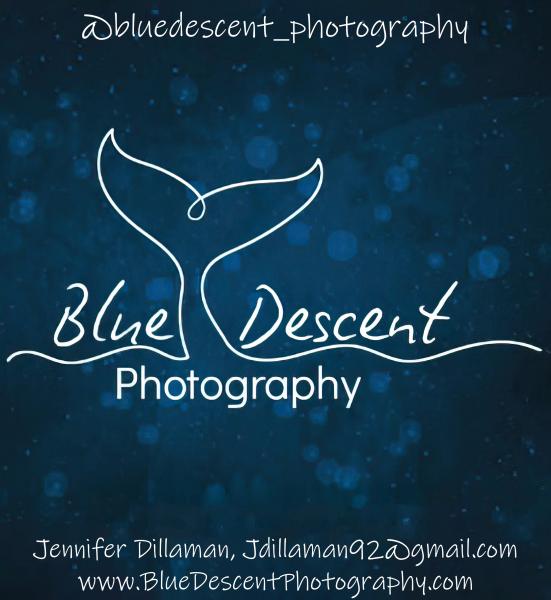 Blue Descent Photography