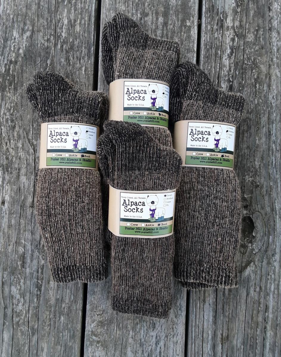 Socks - Boot picture