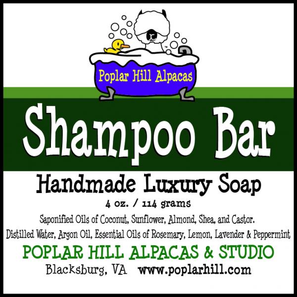 Shampoo Bar