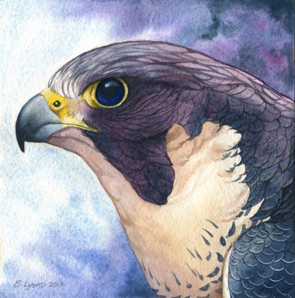 Moonbird - Fantasy Falcon Print