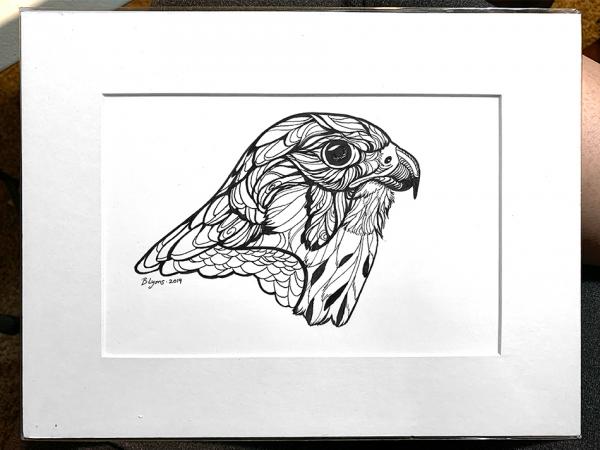 Peregrine Falcon - Original Ink Drawing
