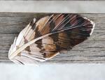 Hawk Leather Feather Barrette - 4 Inches