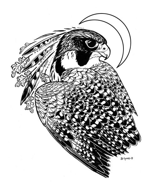 Falcon Moon Studio Logo - Original Ink Drawing picture