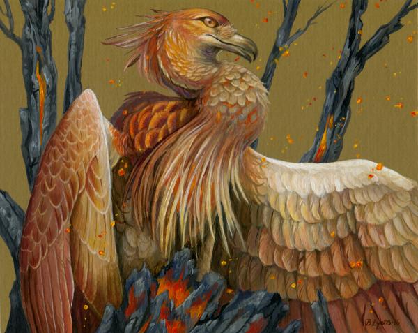 Young Fire - Firebird Phoenix Print picture