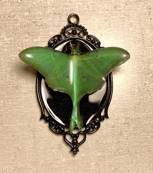 Iridescent Luna moth pendant picture