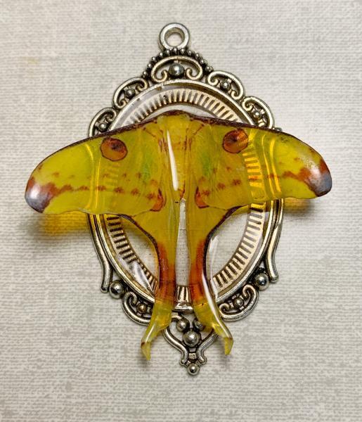 Comet moth pendant