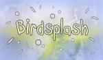 Birdsplash