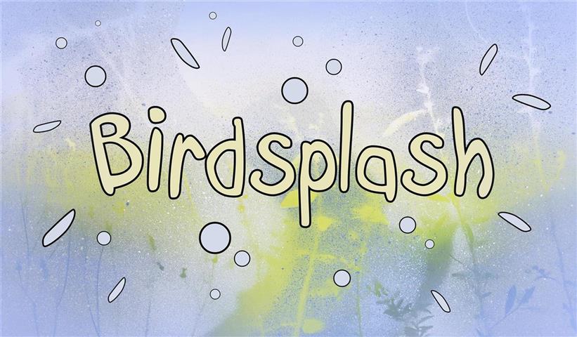 Birdsplash