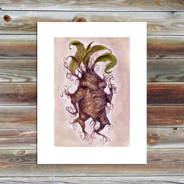 Mandrake - print picture