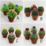 Cactus - Small Reversible