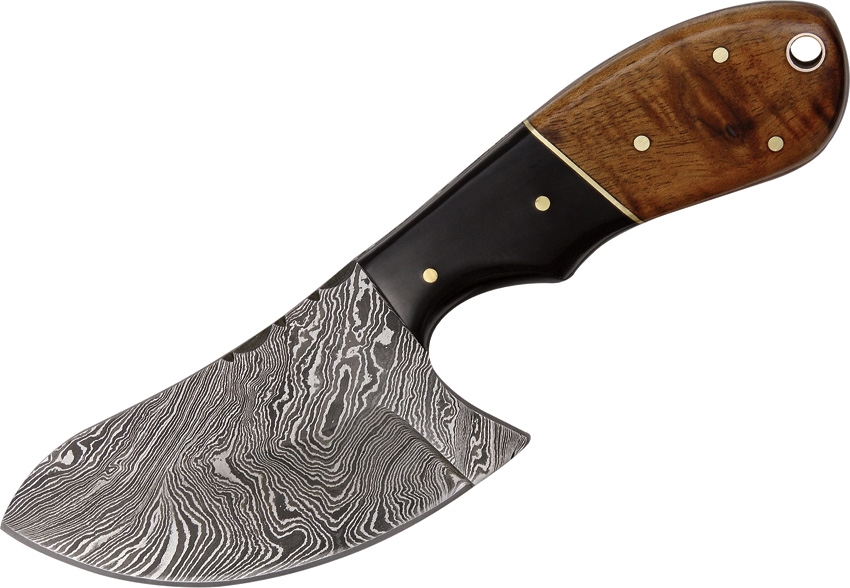 Damascus Skinner picture