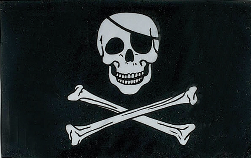 Pirate Flag 1 picture