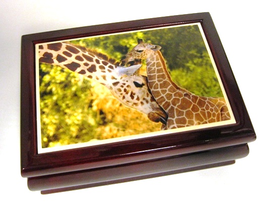 Music Box: Giraffe - Melody - 208-0094