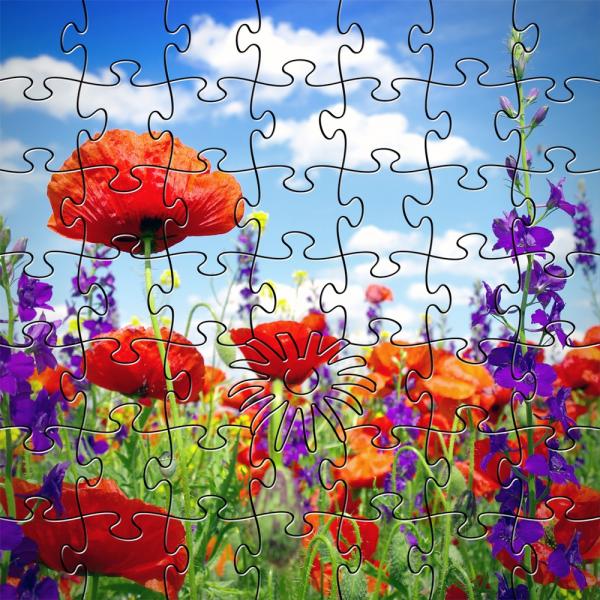Zen Puzzle Teaser - Wildflowers - 682055023946 picture