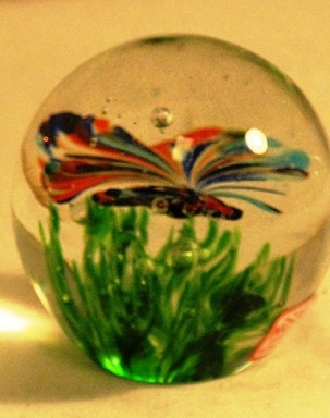 Butterfly Paperweight, rainbowglow - 791832156941