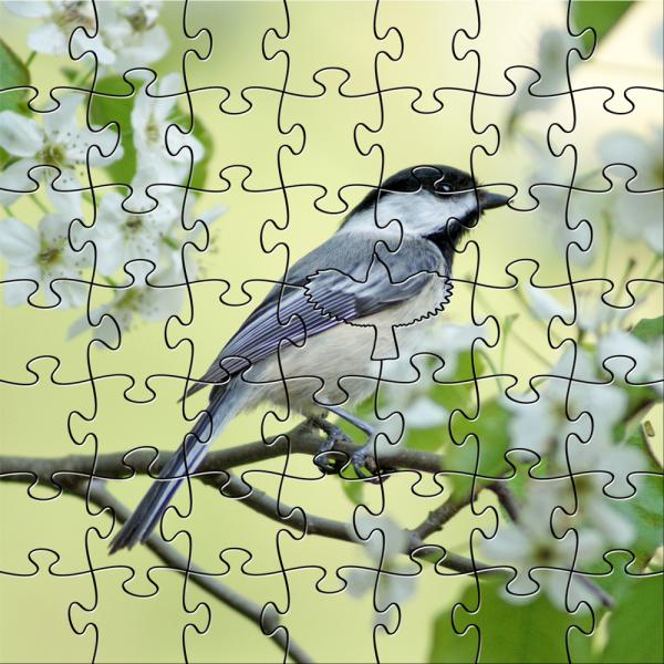 Zen Puzzle Teaser - Spring Chickadee - 682055029672 picture