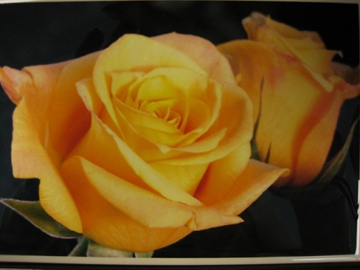 Music Box: Yellow Roses - Melody - 208-0071