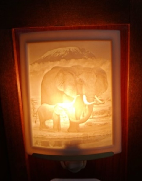 Curved Nightlight, Elephant and calf - 200-PG298 picture