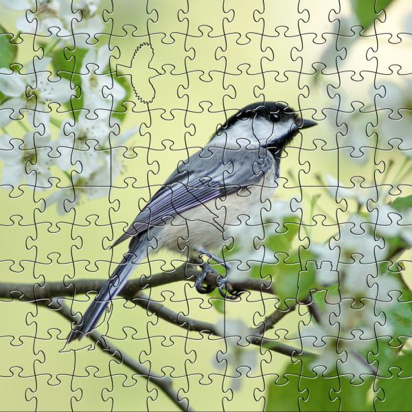 Zen Puzzle Teaser - Spring Chickadee - 682055029672 picture