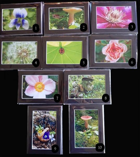 Macro Nature &amp; Flower Photos with 5x7&quot; Black Mats (No Frame), Signed and Numbered Prints