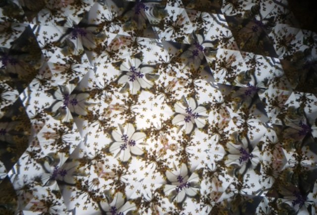Flower Wheel Striped Wood Kaleidoscope B - Thibodeau - 100-5429b picture