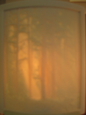 Curved Nightlight, Color Woodland Sunbeam - 200-PG123C