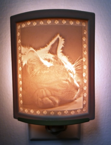 Curved Nightlight, Kitten Dreams - 200-PG225 picture