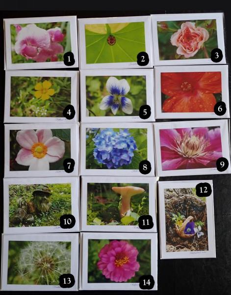 Macro Nature Photo Blank Greeting Cards w/Envelopes | Hand-Assembled Stationary