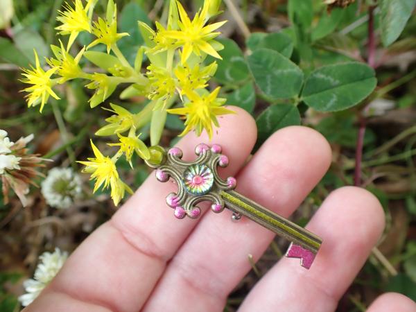 Bronze, Pink and Green Iridescent Key Brooch picture