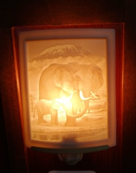 Curved Nightlight, Elephant and calf - 200-PG298