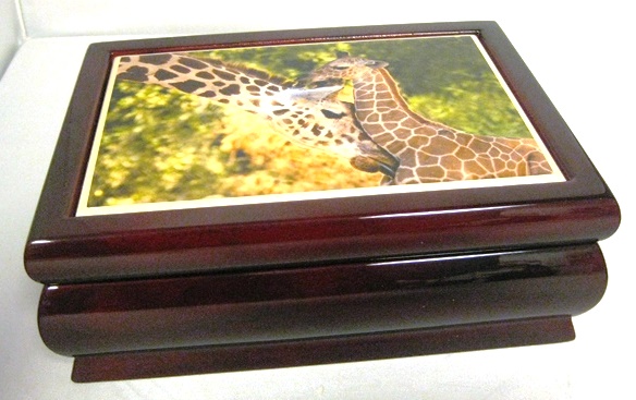 Music Box: Giraffe - Melody - 208-0094 picture