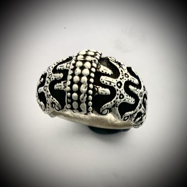 Viking Warrior Ring picture