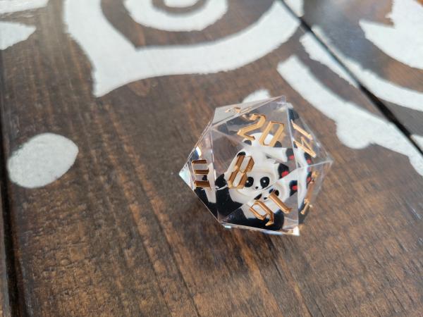 Filled Resin Oversize D20 picture
