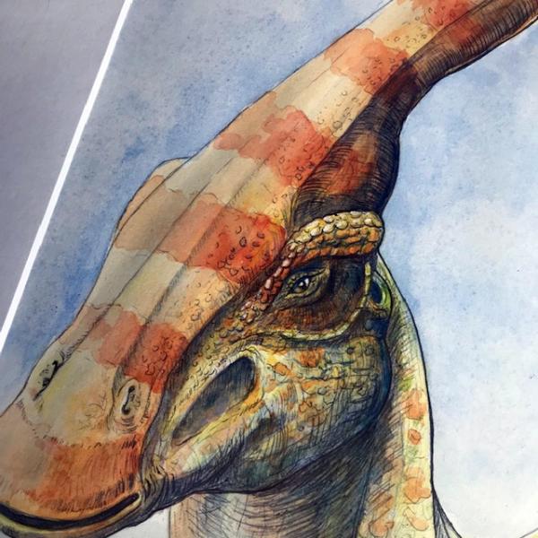 Parasaurolophus - Original Watercolor Painting (includes shipping*)
