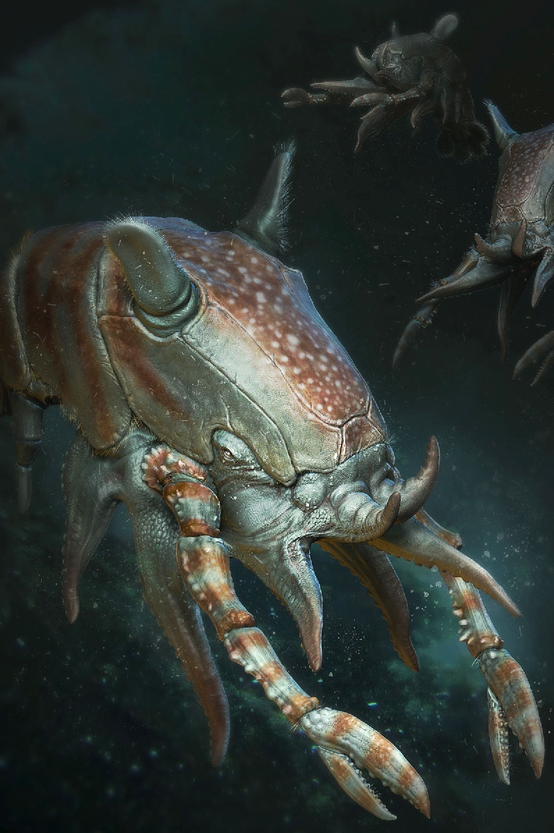 Dark Creatures Pack (includes shipping*) picture