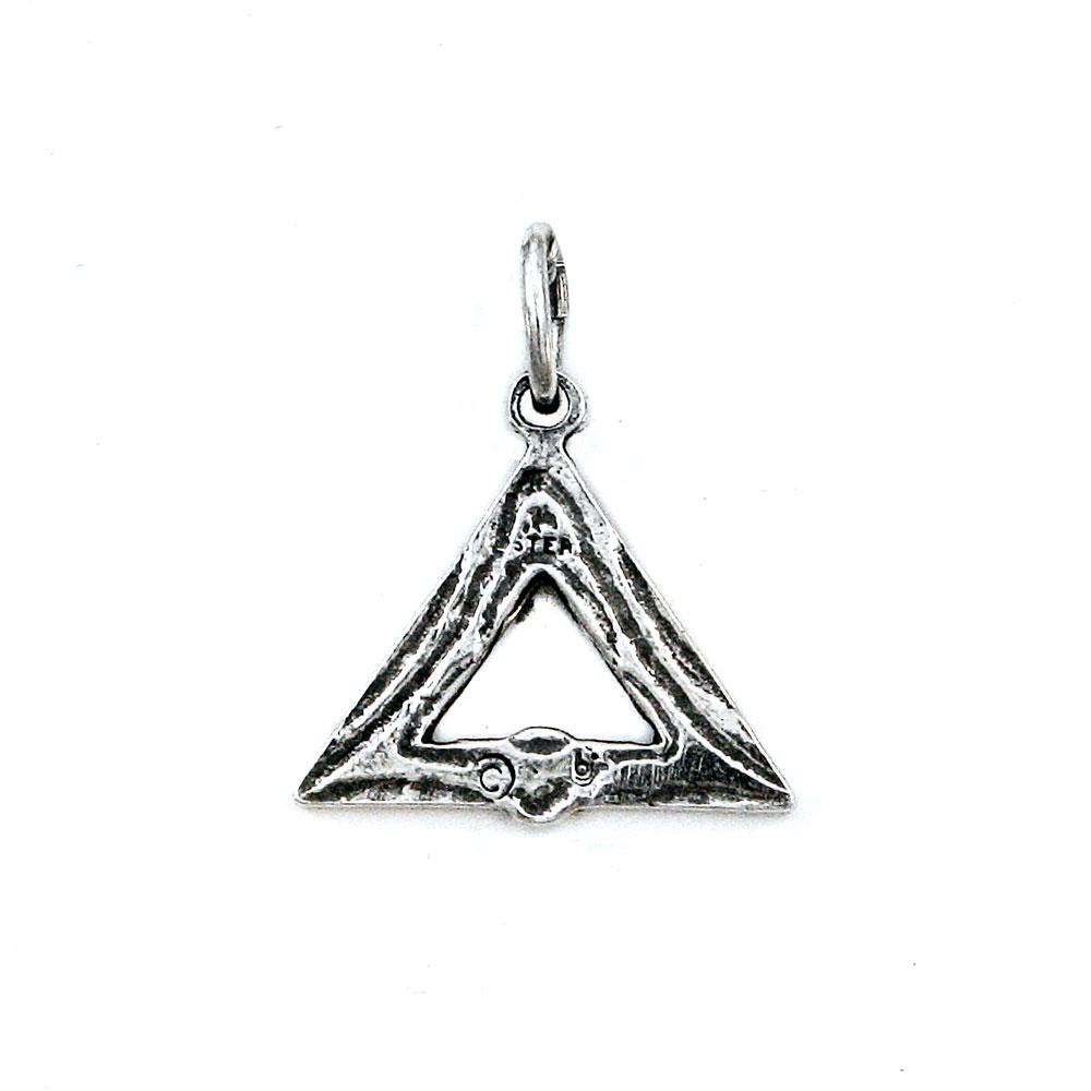 Pink Society Charm picture