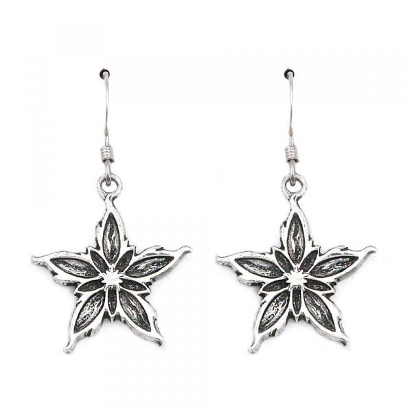 Nalthis Earrings picture