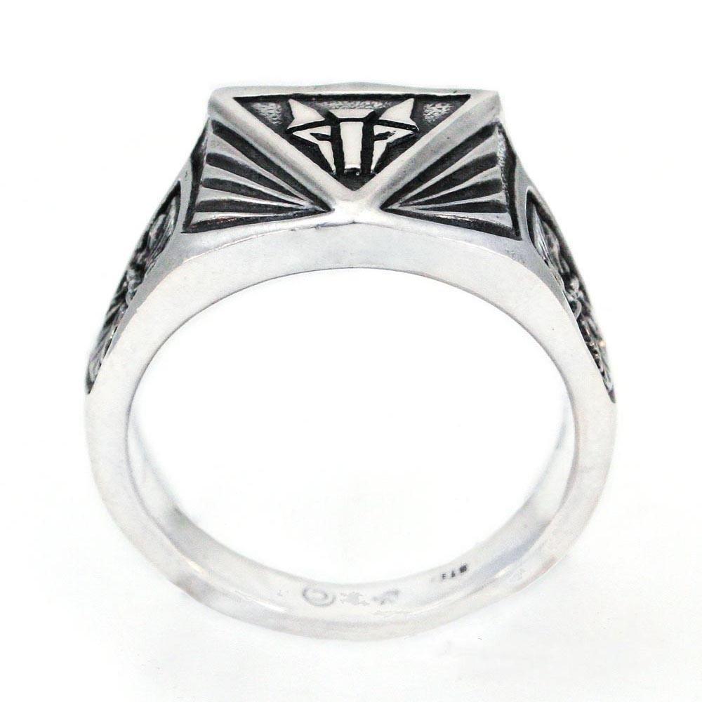 House Mars Institute Ring picture