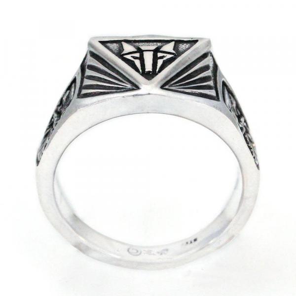 House Mars Institute Ring picture