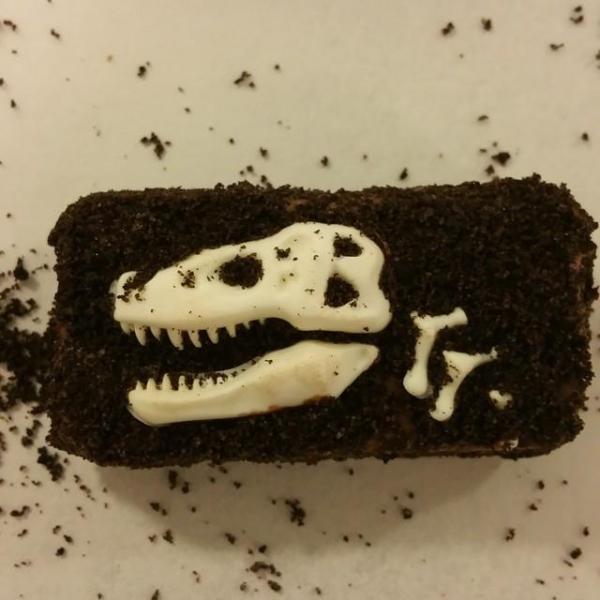 Dinosaur Truffles picture