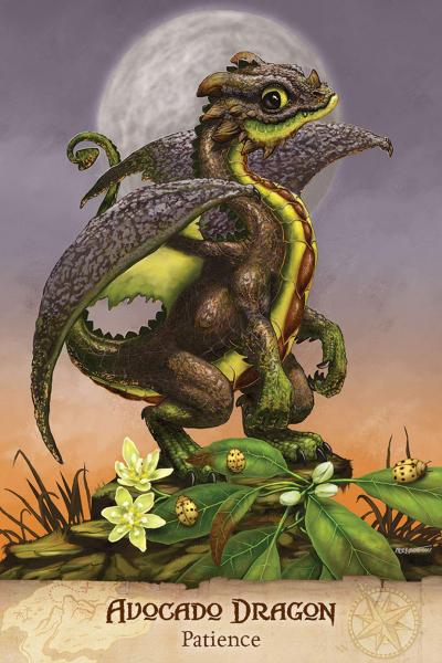 Field Guide to Garden Dragons oracle card deck picture