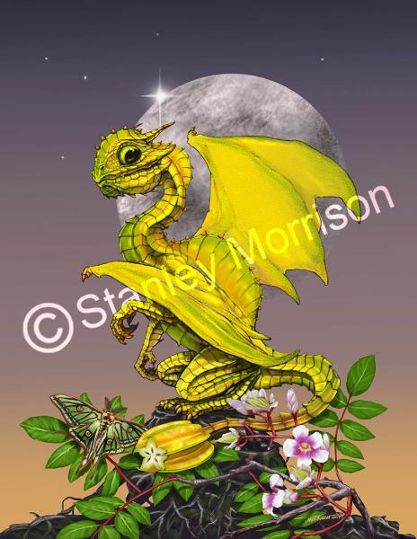 Garden Dragons (Fruits)Prints picture