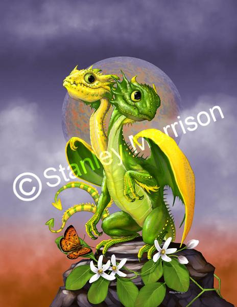 Garden Dragons (Fruits)Prints picture