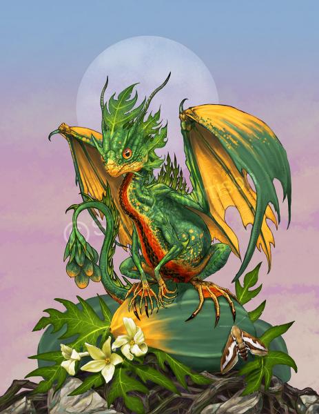 Garden Dragons (Fruits)Prints picture