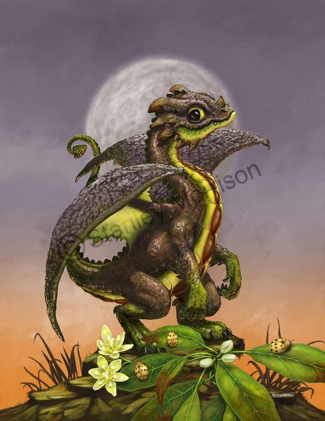 Garden Dragons (Fruits)Prints picture