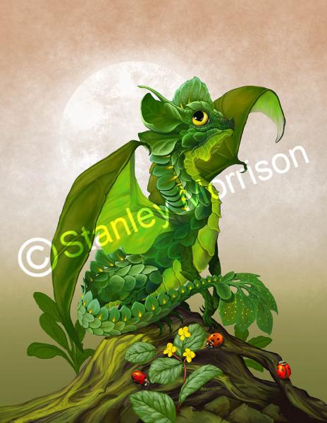 Garden Dragons (Salads)Prints picture
