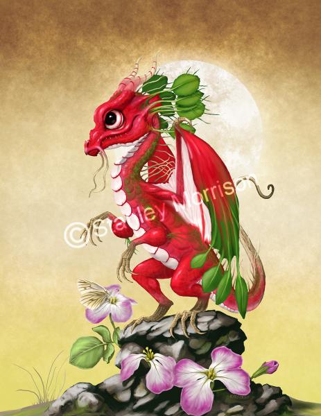 Garden Dragons (Veggies)Prints picture