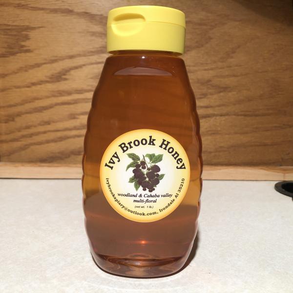 Natural Honey 1lb plastic squeeze bottle