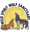 Wild Spirit Wolf Sanctuary