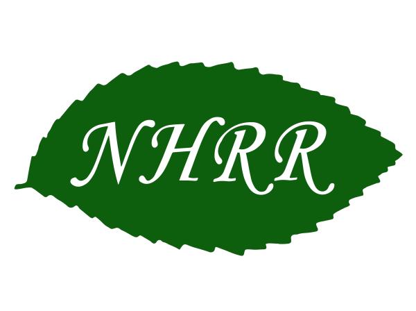 New Haven Road Runners